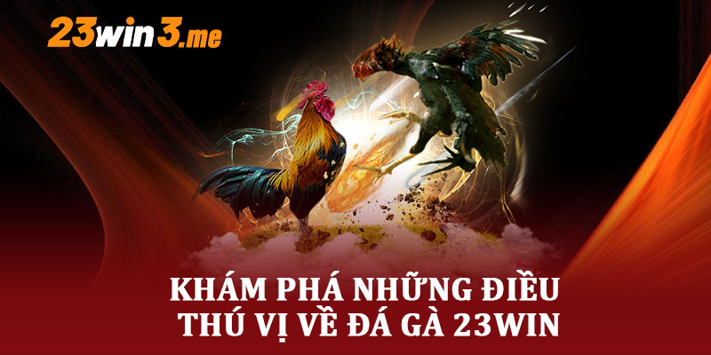 Khám Phá Những Điều Thú Vị Về Đá Gà 23WIN