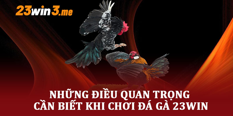 Những Điều Quan Trọng Cần Biết Khi Chơi Đá Gà 23WIN