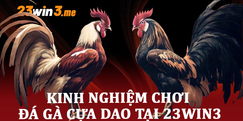 Kinh nghiệm chơi đá gà cựa dao tại 23win3