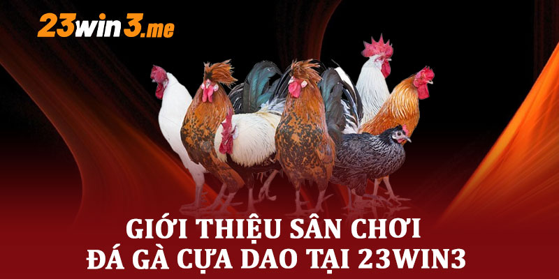 giới thiệu sân chơi đá gà cựa dao tại 23win3