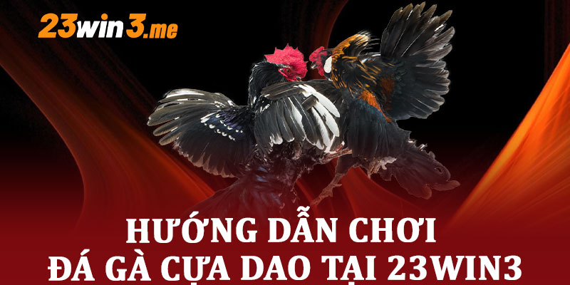 hướng dẫn chơi đá gà cựa dao tại 23win3